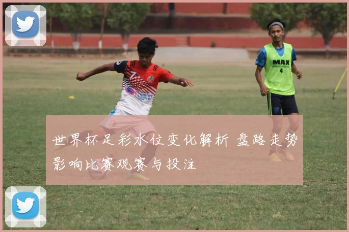 世界杯足彩水位变化解析 盘路走势影响比赛观赛与投注