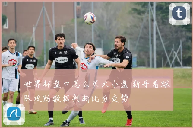 世界杯盘口怎么买大小盘 新手看球队攻防数据判断比分走势