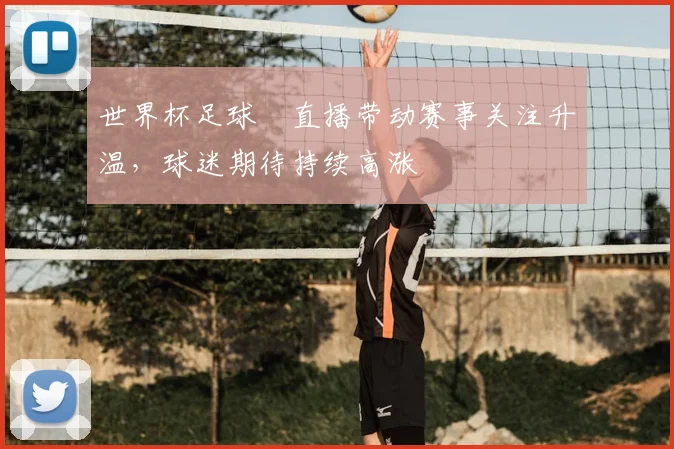 世界杯足球賽直播带动赛事关注升温，球迷期待持续高涨