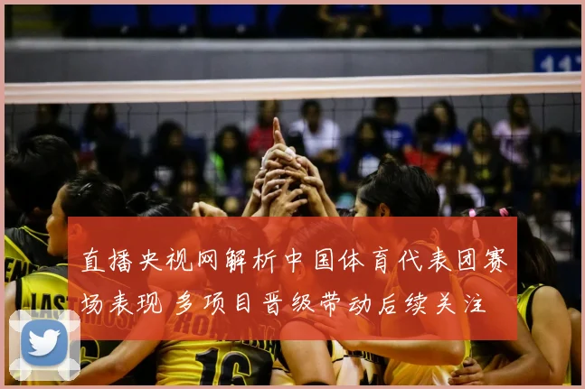直播央视网解析中国体育代表团赛场表现 多项目晋级带动后续关注