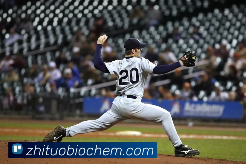 熊猫体育直播观看平台生态图