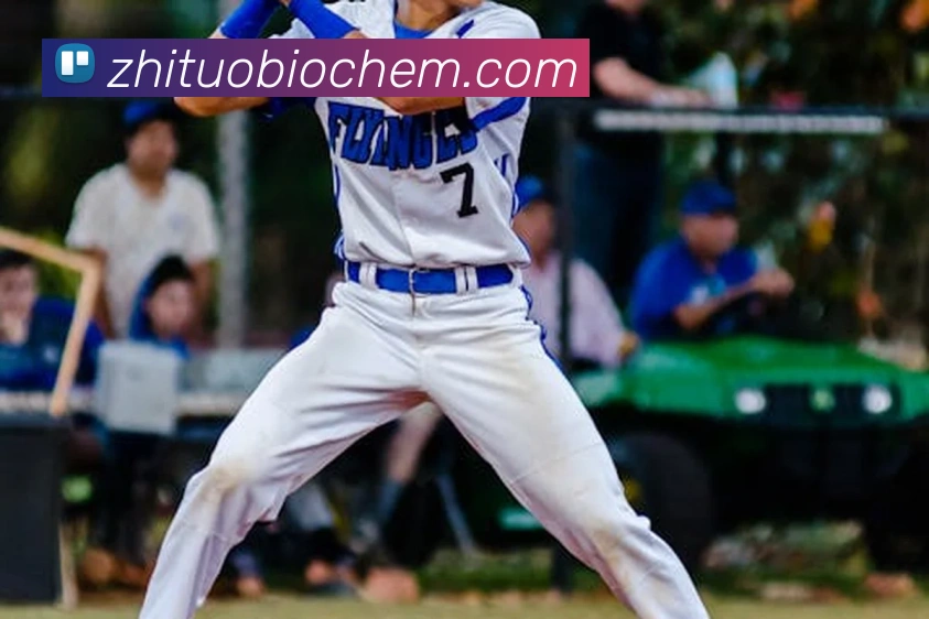 熊猫体育直播观看全站App